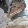 Стикер Котики