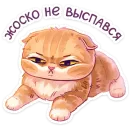 Стикер Мявс