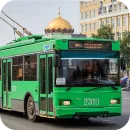 Стикер НОВОСИБИРСКИЙ ТРАНСПОРТНЫЙ