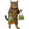 Стикер Непослушный кот