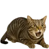 Стикер Непослушный кот