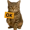 Стикер Непослушный кот