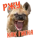 Ne ODNA