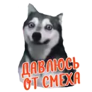 Стикер Ne ODNA