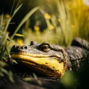 Стикер Нейронка