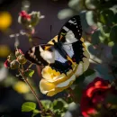 Стикер Нейронка