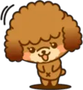 Стикер New Angry Poodle