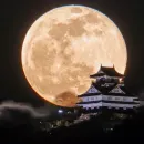 Стикер New generation