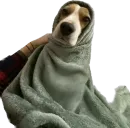 Стикер Nicol_i_Boosya