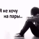 Стикер Cody Body