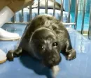 Стикер Seals