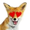 Nixie_fox