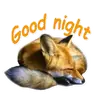 Стикер Nixie_fox