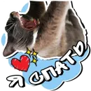 Стикер No Problema