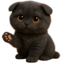 Котик Нонг Дум