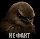 Стикер Birds Memes