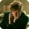 Fantastic Beasts