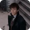 Стикер Fantastic Beasts