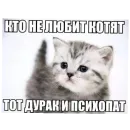 Стикер Няшки