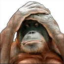 Стикер Monkey