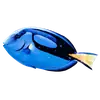 Жители океана