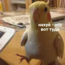 Стикер Ошибка
