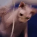 Стикер О мои глаза