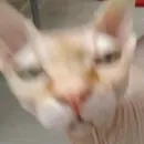 Стикер О мои глаза