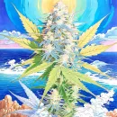 OpalOceanBreeze