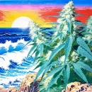 Стикер OpalOceanBreeze