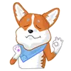 Love, Tennis & Corgi