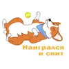 Стикер Love, Tennis & Corgi