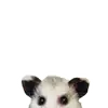 Стикер Opossum Coming