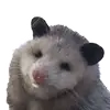 Стикер Opossum Coming