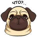 Ops Mops
