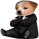 Стикер Dogs
