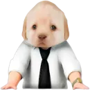 Стикер Dogs
