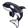 Orcas