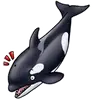 Стикер Orcas