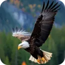 Стикер Eagles