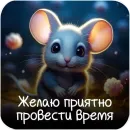 Открытки