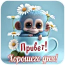 Стикер Открытки