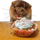 Otters Gotta Ott 4