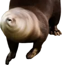 Стикер Otters Gotta Ott 4