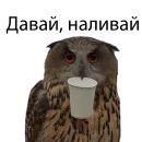 Стикер Owl Yoll and Co