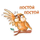 Стикер Owl