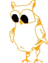 Owls