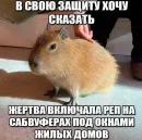 Стикер Резонанс