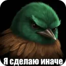 Birds Memes