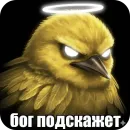 Стикер Birds Memes